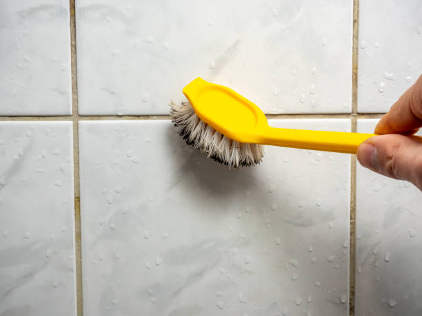 Best Black Mold Remediation in Maytown, PA
